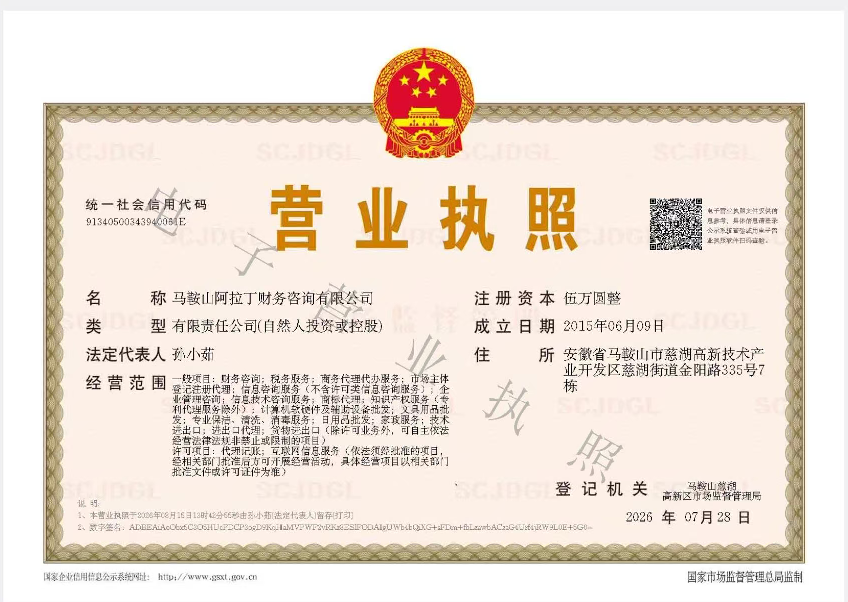 马鞍山阿拉丁财务咨询有限公司营业执照